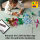 LEGO Classic 11041 Kreative Dinosaurier