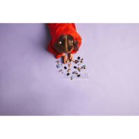 LEGO Collectable Minifigures 71048
