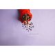 LEGO Collectable Minifigures 71048