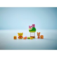 LEGO 10457 Winnie Puuhs Geburtstagsparty DUPLO® | Disney