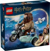 LEGO Harry Potter 76443