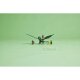 LEGO Ninjago 71829 Lloyds Green Forest Dragon