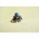 LEGO Jurassic World 76970 Baby Dinosaur Dolores: Aquilops