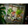 LEGO Ninjago 71846 Der Feuerritter-Mech