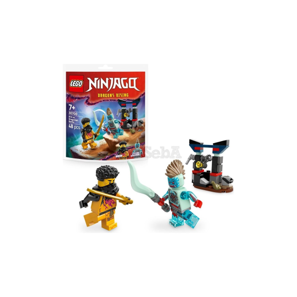 LEGO Ninjago 30700 Arin vs. Dragonian Battle