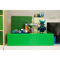 LEGO Minecraft 21274 Begegnung mit dem Wächter