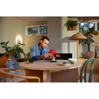 LEGO Botanicals 10348 Japanischer Roter Ahorn – Bonsai-Baum