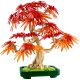 LEGO Botanicals 10348 Japanischer Roter Ahorn – Bonsai-Baum