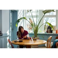 LEGO Disney 43279 WALL-E und EVE