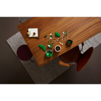 LEGO Botanicals 11504 Friedenslilie