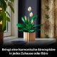 LEGO Botanicals 11504 Friedenslilie