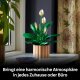 LEGO Botanicals 11504 Friedenslilie