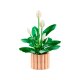 LEGO Botanicals 11504 Peace Lily