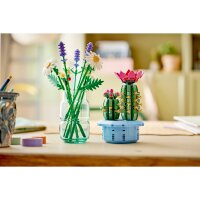 LEGO Botanicals 11509 Blühender Kaktus