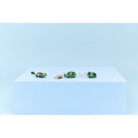 LEGO Creator 31377 Turtle with a Water Lily Flower