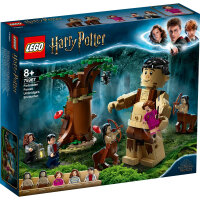 LEGO Harry Potter 75967 Forbidden Forest: Umbridges...