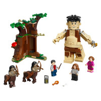 LEGO Harry Potter 75967 Forbidden Forest: Umbridges...