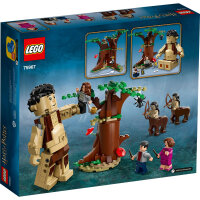 LEGO Harry Potter 75967 Forbidden Forest: Umbridges Encounter