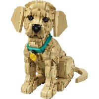 LEGO Icons 11384 Golden Retriever Welpe