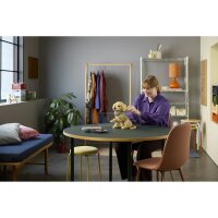 LEGO Icons 11384 Golden Retriever Welpe