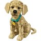 LEGO Icons 11384 Golden Retriever Welpe