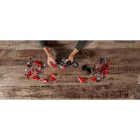 LEGO Technic 42107 Ducati Panigale V4 R