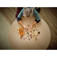 LEGO Harry Potter 76382 Hogwarts Moment: Transfiguration Class