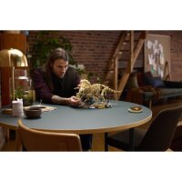 LEGO Jurassic World 77985 Dinosaurier-Fossilien: Triceratops