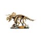 LEGO Jurassic World 77985 Dinosaurier-Fossilien: Triceratops