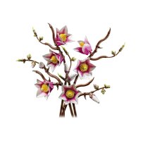 LEGO Botanicals 11510 Magnolia Branches