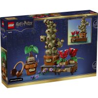 LEGO Harry Potter 76474 Schloss Hogwarts: Kräuterkunde-Pflanzen