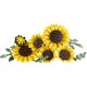 LEGO Botanicals 11502 Sonnenblumen