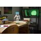 LEGO Minecraft 21594 Das Skelett