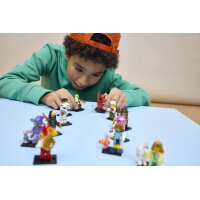LEGO Minifigures 71052 Series 29 complete Set