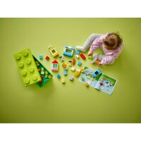 LEGO DUPLO Classic 10913 DUPLO Steinebox