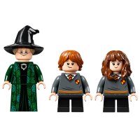 LEGO® Harry Potter 76382 Hogwarts™ Moment: Verwandlungsunterricht