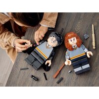 LEGO® Harry Potter 76393 Harry Potter™ & Hermine Granger™