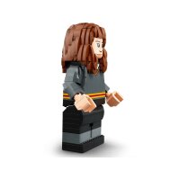 LEGO Harry Potter 76393 Harry Potter & Hermione Granger