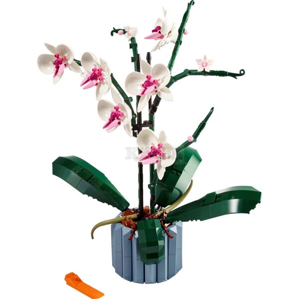 LEGO Botanicals 10311 Orchid