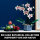 LEGO Advanced Models 10311 Orchid