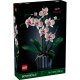 LEGO Botanicals 10311 Orchidee