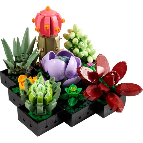 LEGO Botanicals 10309 Succulents