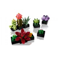 LEGO Advanced Models 10309 Succulents