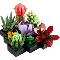 LEGO Botanicals 10309 Succulents