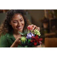 LEGO Botanicals 10309 Succulents