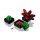 LEGO Advanced Models 10309 Succulents