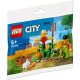 LEGO City 30590 Bauernhofgarten mit Vogelscheuche