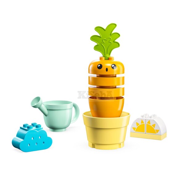 LEGO DUPLO My First 10981 Wachsende Karotte