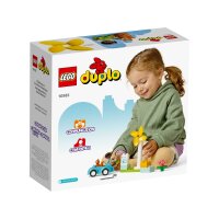 LEGO® Duplo 10985 Windrad und Elektroauto