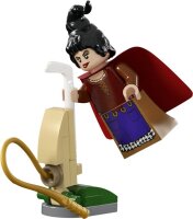 LEGO® Ideas 21341 Disney Hocus Pocus: Das Hexenhaus der Sanderson-Schwestern